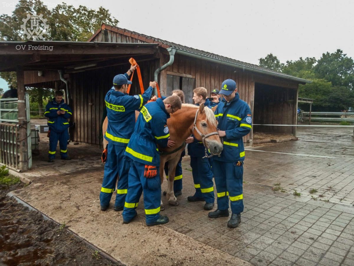 THW Freising beübt neues Tierrettungsgeschirr