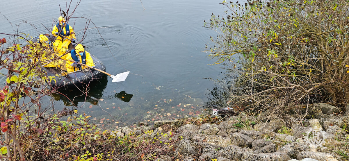 THW Freising unterstützt Veterinäramt bei Tierseuchenprävention